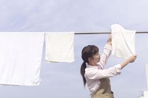 大きなトラブルになる前にプロに相談する