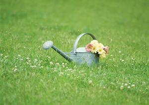 高知の大原質店では、18金買取などを行っています。