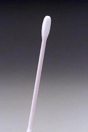 安全・安心のために知っておきたい!広島で効果的なコウモリ駆除と侵入防止の完全ガイド