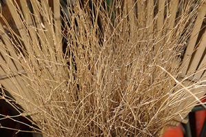 ポスター印刷をいろんな支払いで決済可能