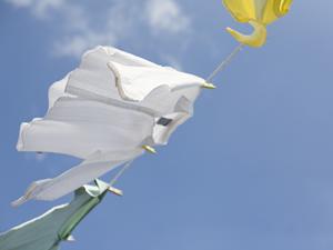 運転手派遣サービスを利用した方が安心