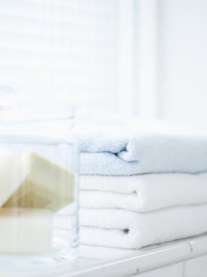 管理料無料の浄土真宗善源寺について